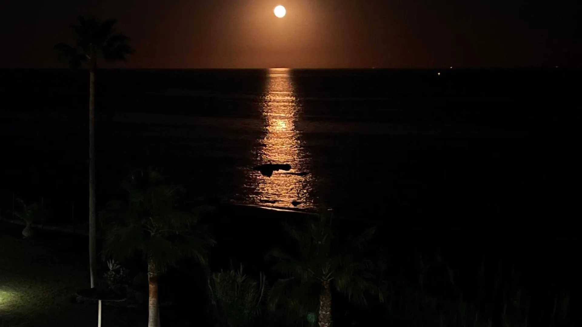 Exclusive Luxury Frontline Beach Penthouse Casares Del Mar - Estepona